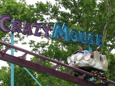 Crazy Mouse Crazy Mouse