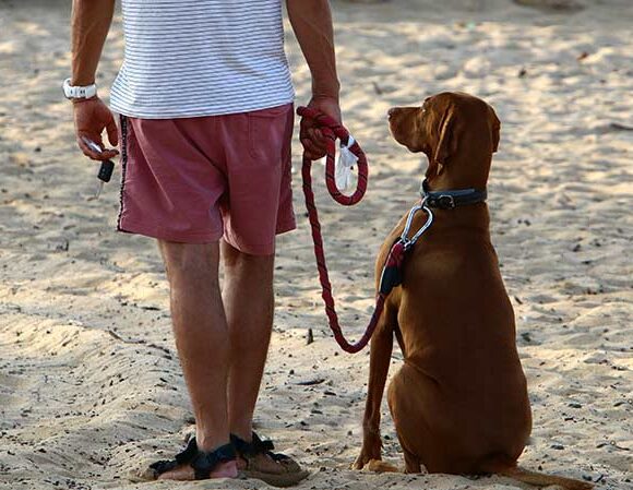 employee with red t-shirt smiling
