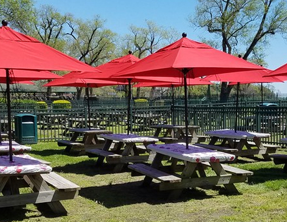 Picnic tables with red umbrellas for group events